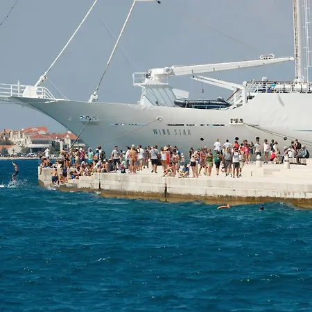 شقة Lovely In With Wifi زادار